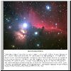 horsehead_steinberg.jpg