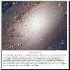 m31core_gendler.jpg