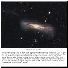 ngc3628_croman_c45.jpg