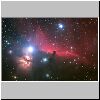 horsehead_steinberg_big.jpg